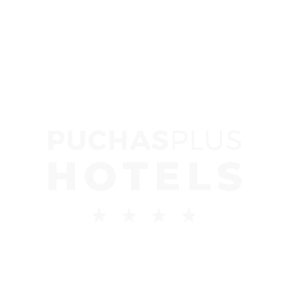 Puchas Plus Hotels