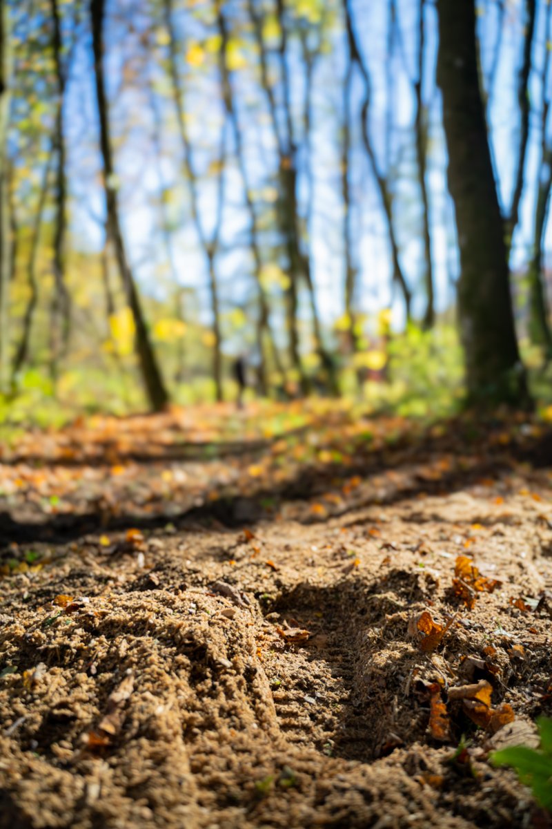 Rekultivierung und Materialnutzung