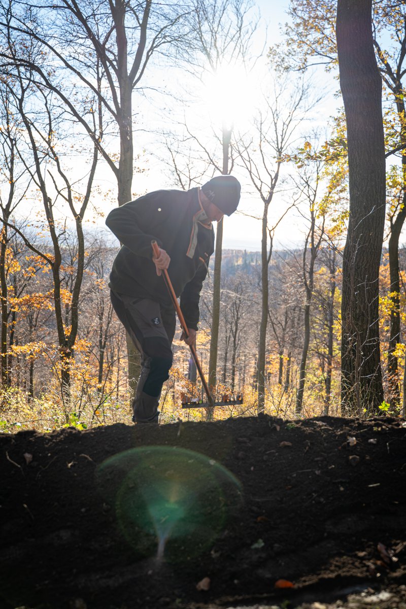 Vorausschauend Trails planen