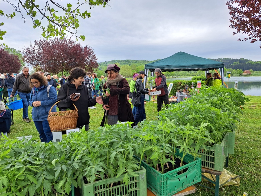 Pflanzenmarkt beim Badesee Rauchwart